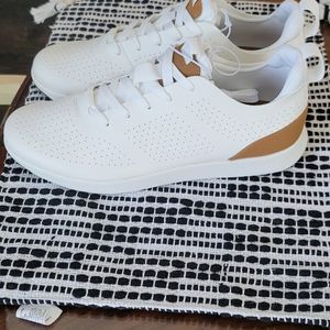 COPY - Steve Madden Razor Sneakers
